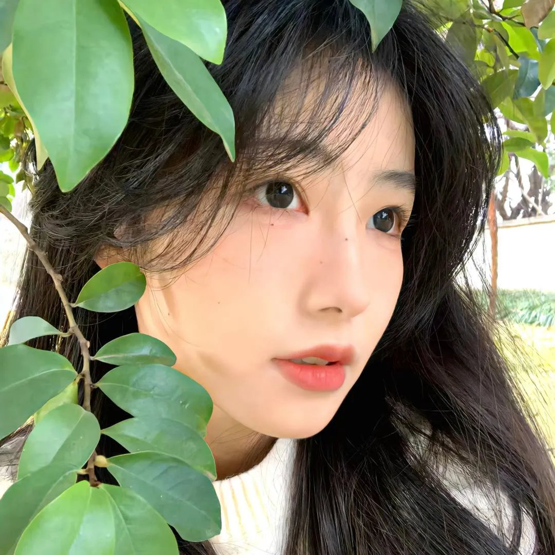 公子贵姓